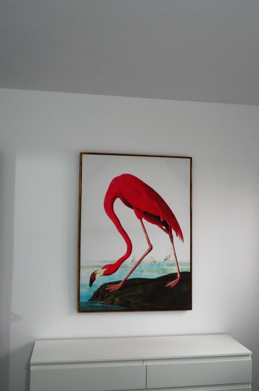 Sauco Appartement *